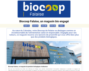 Minisites Zouille : des sites internet abordables et efficaces pour tous les commerçants et artisans